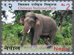 Chitwan