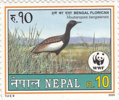 Wildlife