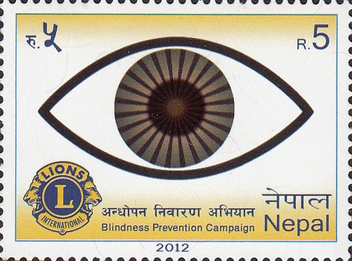Lions Campaign on Blidness Prevention