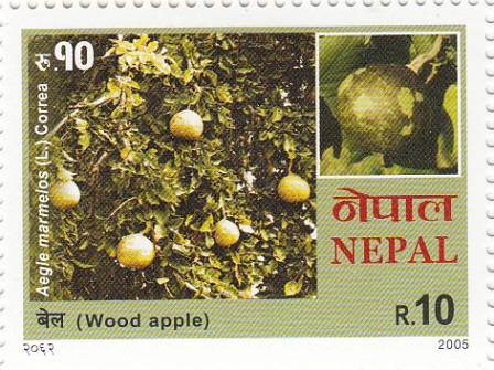 Wood Apple