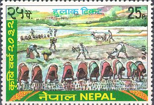 Agriculture Year