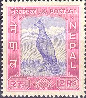 Danphe (National Bird)