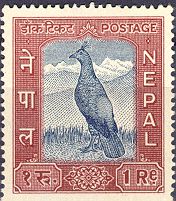 Danphe (National Bird)