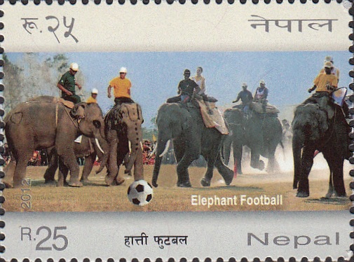 Elephant Football
