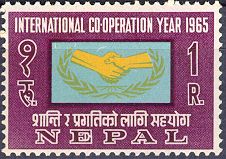 International Co-operation Year