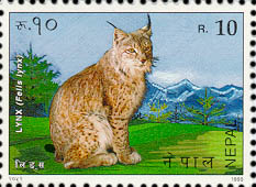 Lynx