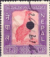 Monal Pheasant