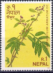 Nepalese Pepper