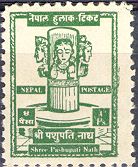 Renovation of Pashupati Temple