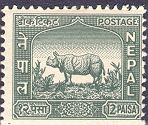 Rhinoceros