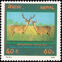 Royal Chitwan National Park