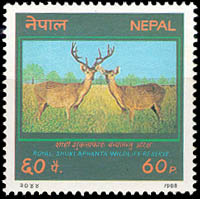 Royal Shuklaphant Wildlife Reserve