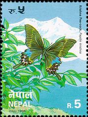 Bird & Butterfly Series