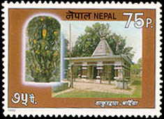 Thakur Dwara (Bardiya)